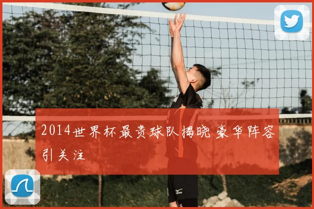 2014世界杯最贵球队揭晓 豪华阵容引关注