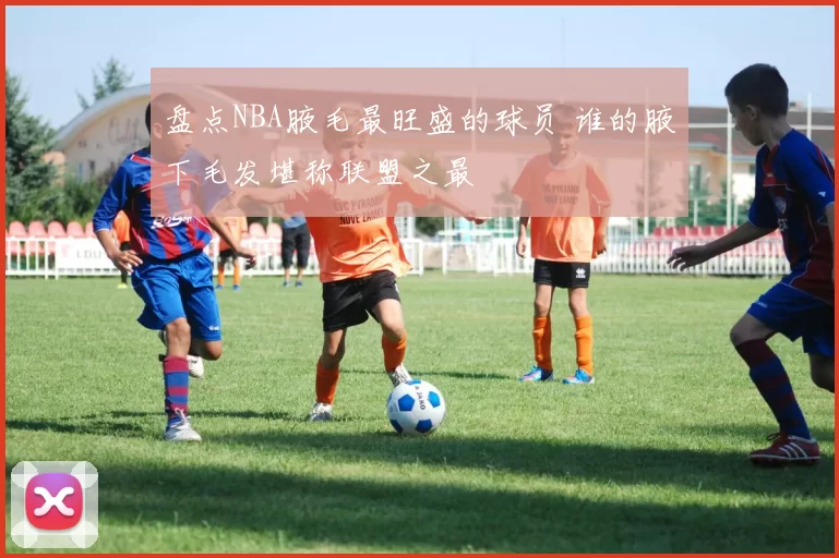 盘点NBA腋毛最旺盛的球员 谁的腋下毛发堪称联盟之最