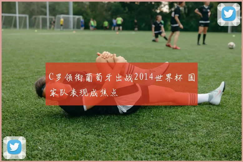 C罗领衔葡萄牙出战2014世界杯 国家队表现成焦点